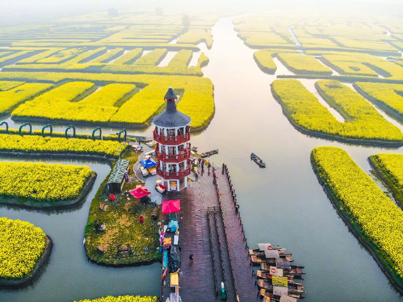 兴化千垛 油菜花旅游节