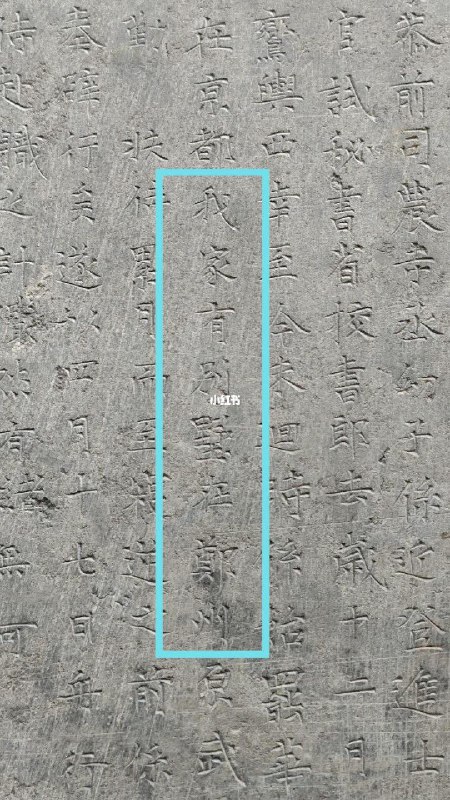 我家有别墅在郑州1983年，社科院考古研究所对河南偃师杏园村一带的唐墓进行考古性发掘，当他们打开陇西李氏墓群时，发现了一方墓志铭，名为《唐故李公范阳卢氏夫人墓志》，现藏于河南偃师商城博物馆，此墓志分志盖和志身两部分