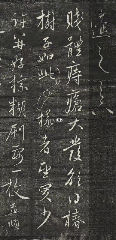 赵孟頫《痔疮帖》——人的字还是不能太好不然连得了痔疮求药的信札都会被对方保留下来流传后世，现在好了老赵，全世界都知道你得了痔疮了 释文：进之足下：贱体痔疮大发，欲得椿树子如此样者，望买少许，并好棕糊刷要一枚注：文中椿树为臭椿，见图2