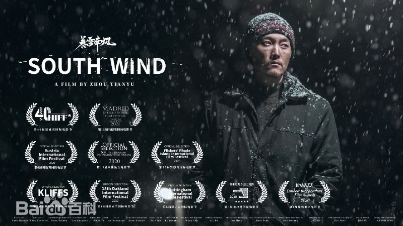 暴雪南风《暴雪南风》是由中国导演周天宇编剧并执导，杨明逸、王凤云主演，安宕宕担任策划的悬疑文艺短片，片长15分钟，于2020年11月5日在夏威夷国际电影节首映