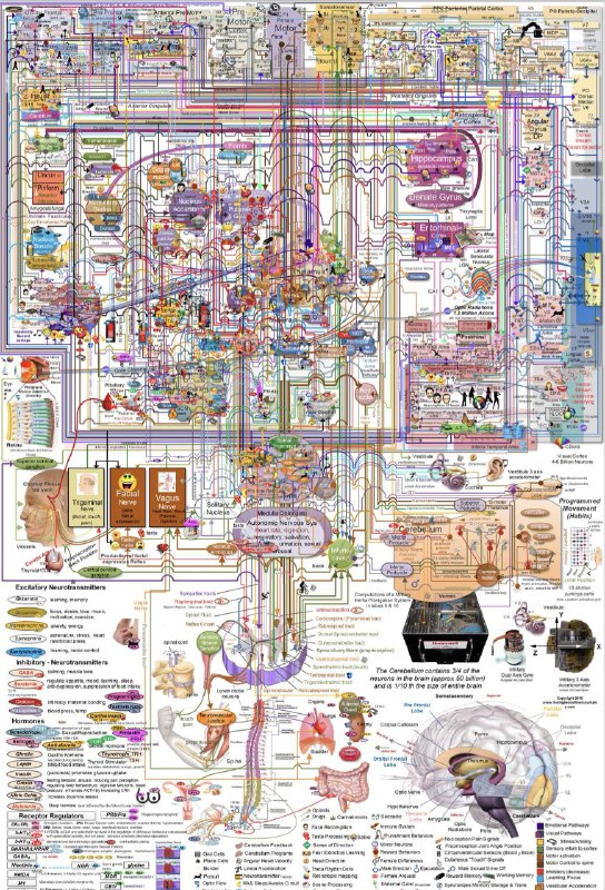 这是我看到的最用心的绘图（缩略图看不出来原图的微妙细节）